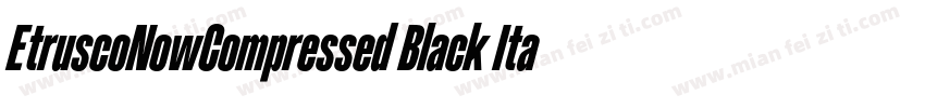 EtruscoNowCompressed Black Italic字体转换